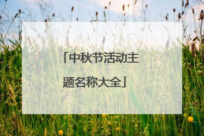 中秋节活动主题名称大全
