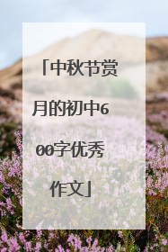 中秋节赏月的初中600字优秀作文