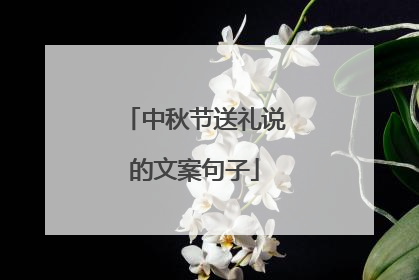 中秋节送礼说的文案句子