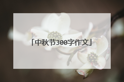 中秋节300字作文