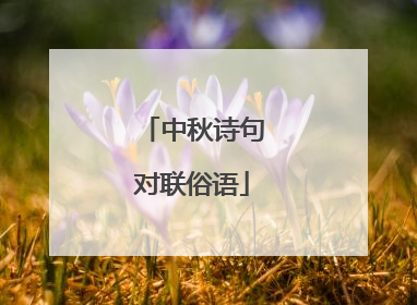 中秋诗句对联俗语