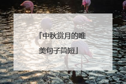 中秋赏月的唯美句子简短