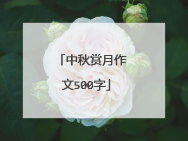中秋赏月作文500字