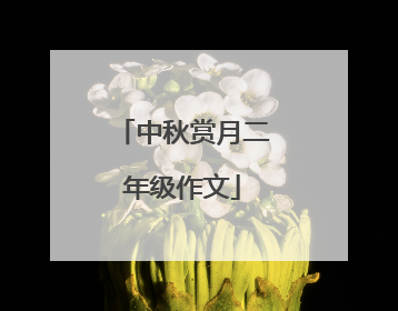 中秋赏月二年级作文