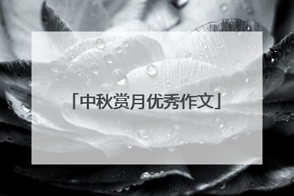 中秋赏月优秀作文