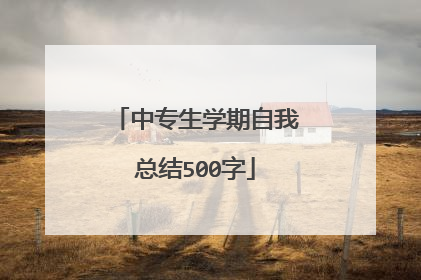 中专生学期自我总结500字