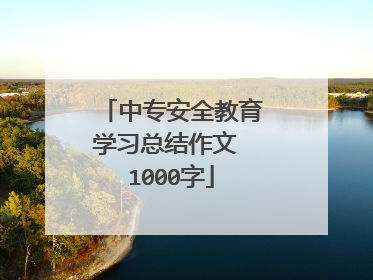 中专安全教育学习总结作文 1000字