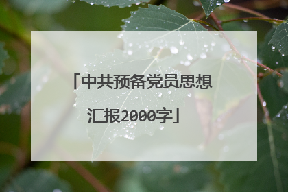 中共预备党员思想汇报2000字