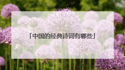 中国的经典诗词有哪些