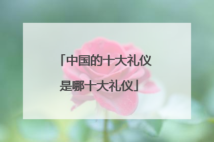中国的十大礼仪是哪十大礼仪