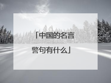 中国的名言警句有什么