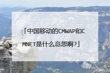 中国移动的CMWAP和CMNET是什么意思啊?