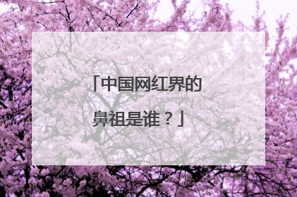 中国网红界的鼻祖是谁?