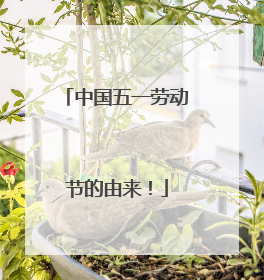 中国五一劳动节的由来!