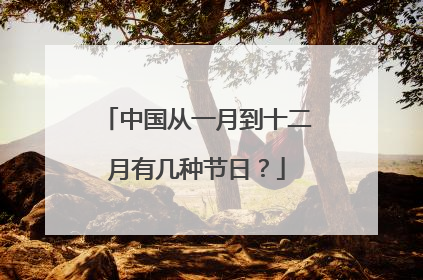 中国从一月到十二月有几种节日？