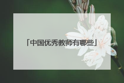 中国优秀教师有哪些
