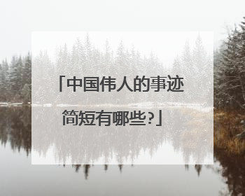 中国伟人的事迹简短有哪些?