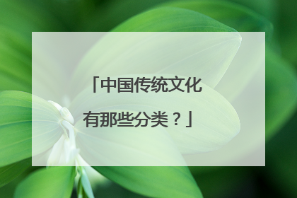 中国传统文化有那些分类？