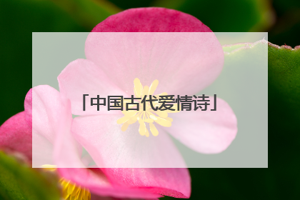 中国古代爱情诗