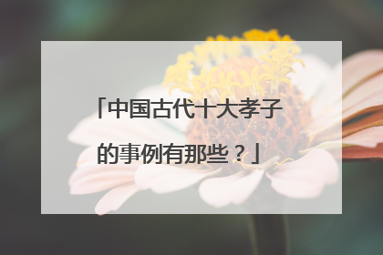 中国古代十大孝子的事例有那些？
