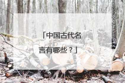 中国古代名言有哪些?
