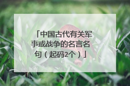 中国古代有关军事或战争的名言名句(起码2个)