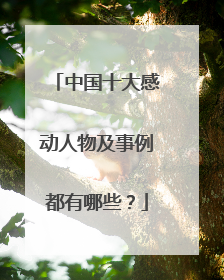 中国十大感动人物及事例都有哪些?