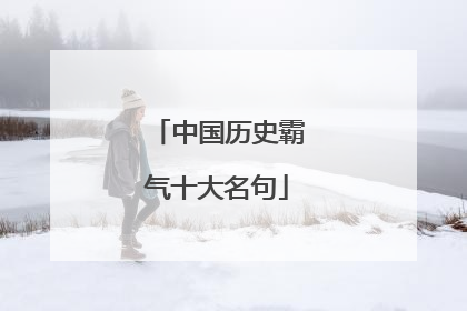 中国历史霸气十大名句