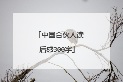 中国合伙人读后感300字
