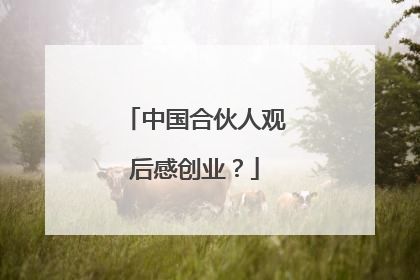中国合伙人观后感创业?