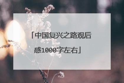 中国复兴之路观后感1000字左右