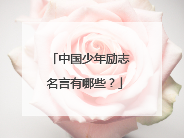 中国少年励志名言有哪些？