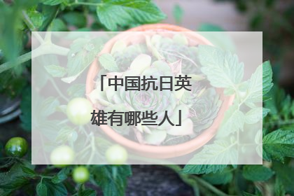中国抗日英雄有哪些人