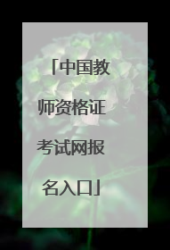 中国教师资格证考试网报名入口