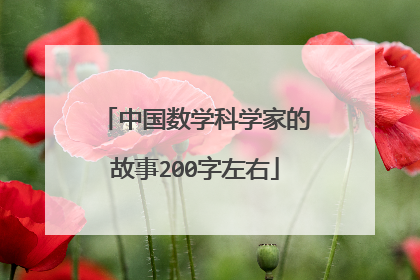 中国数学科学家的故事200字左右