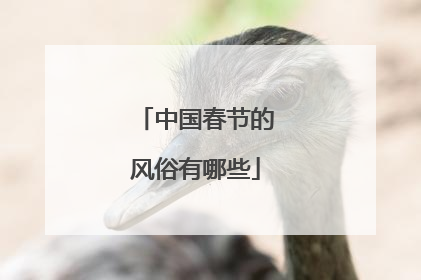 中国春节的风俗有哪些