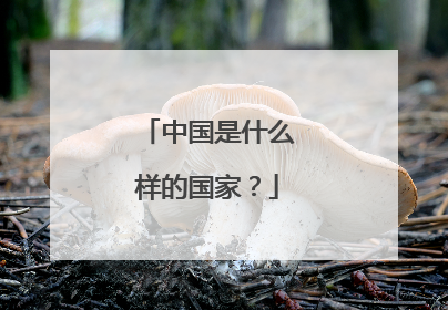 中国是什么样的国家？