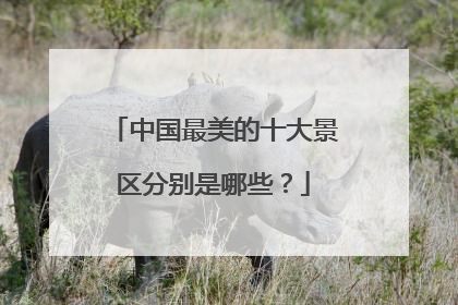 中国最美的十大景区分别是哪些？