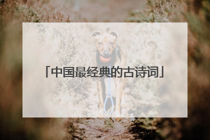 中国最经典的古诗词