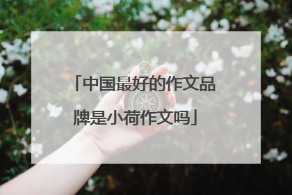 中国最好的作文品牌是小荷作文吗