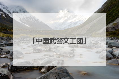 中国武警文工团