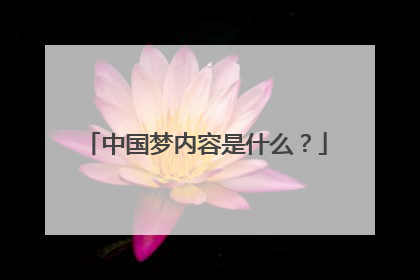 中国梦内容是什么?