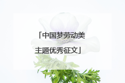 中国梦劳动美主题优秀征文