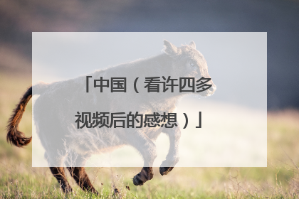 中国(看许四多视频后的感想)