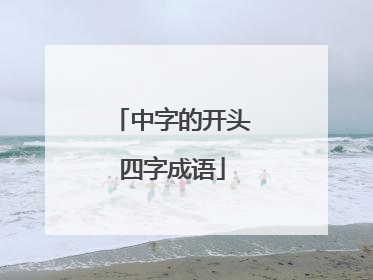 中字的开头四字成语
