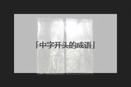 中字开头的成语
