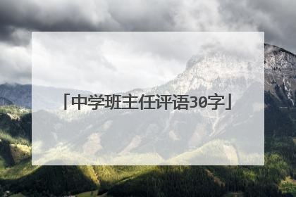 中学班主任评语30字