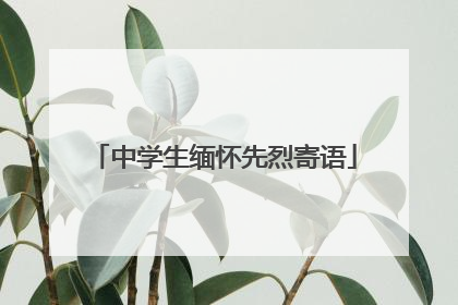 中学生缅怀先烈寄语