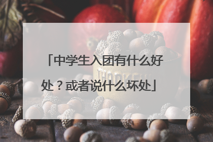 中学生入团有什么好处？或者说什么坏处