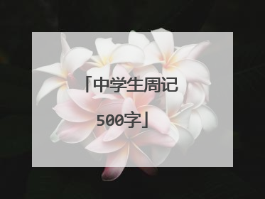 中学生周记500字